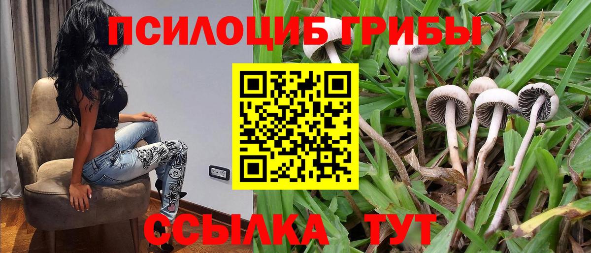 Псилоцибиновые грибы мухоморы Симферополь