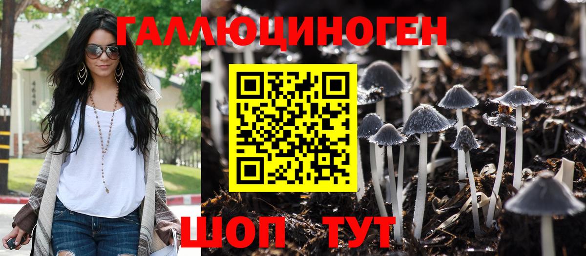 Галлюциногенные грибы GOLDEN TEACHER  Вход с VPN  Симферополь 